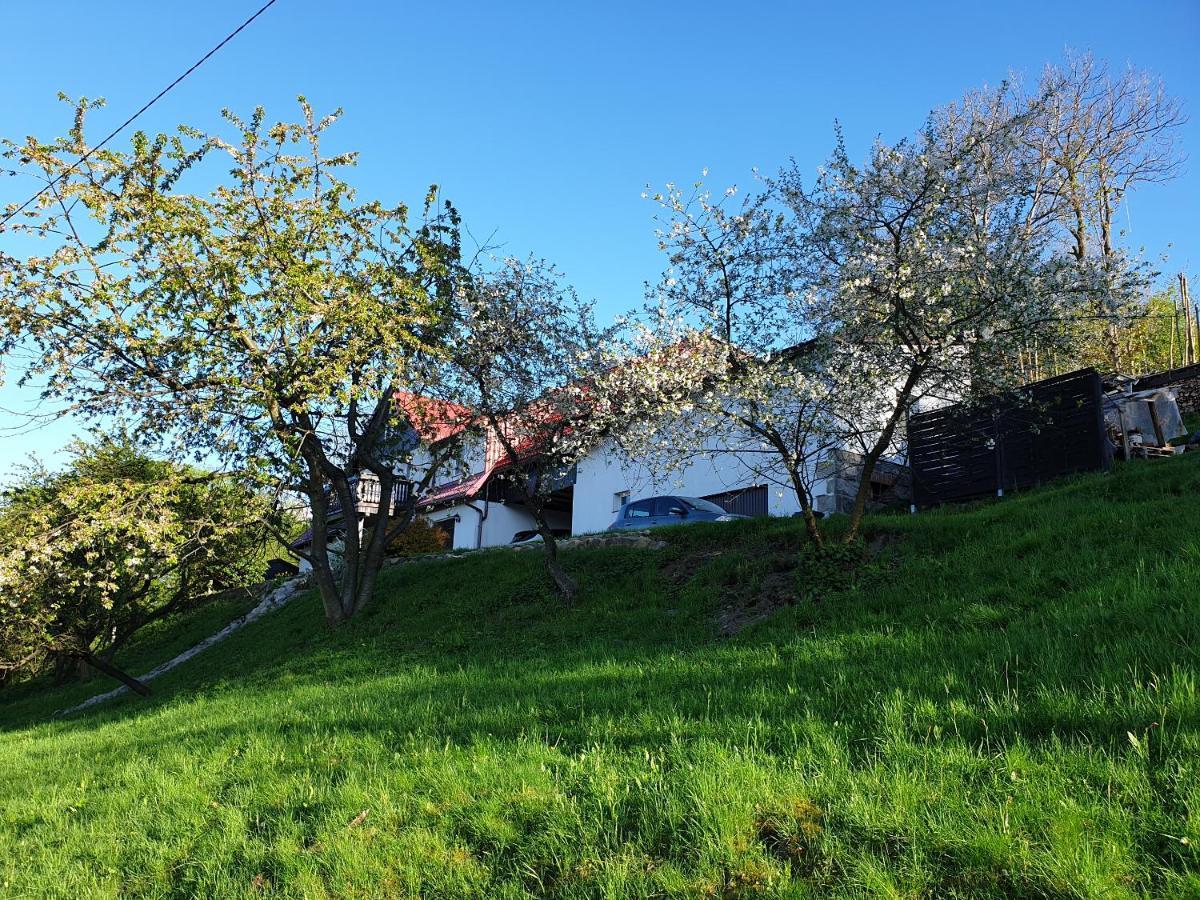 Pokoje Karkonosze Przesieka Bagian luar foto