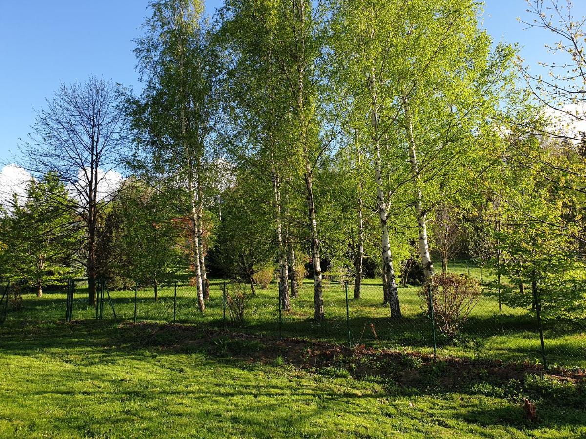 Pokoje Karkonosze Przesieka Bagian luar foto