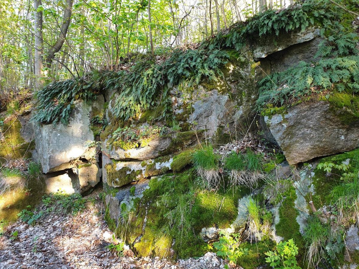 Pokoje Karkonosze Przesieka Bagian luar foto